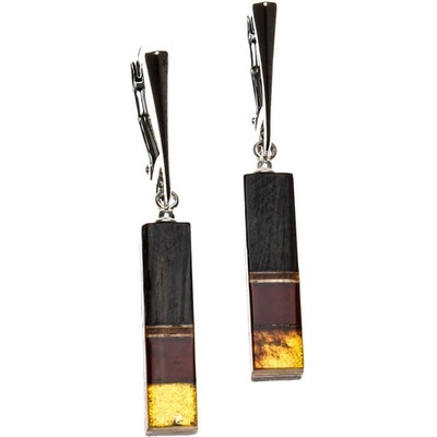 Reblan drevené náušnice s jantárom z kolekcie Amberwood TDNU024