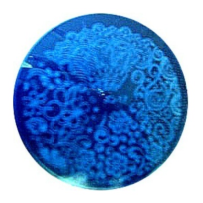 Venalisa color gel 1657 5 ml