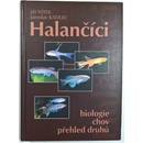 Halančíci