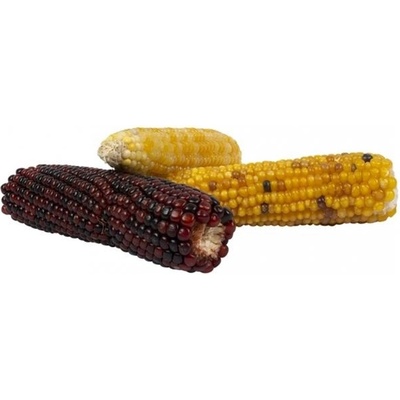 DuvoPlus Kukuřice mini klasy kbelík mix 240 g