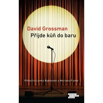Přijde kůň do baru - David Grossman