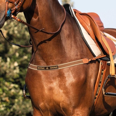 WESTERN IMPORTS Westernový poprsník BC-151 tmavě hnědá – Zboží Dáma