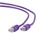 Gembird RJ45 CAT5e UTP M/M кабел за данни 2 м лилав PP12-2M/V (PP12-2M/V)
