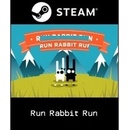 Run Rabbit Run