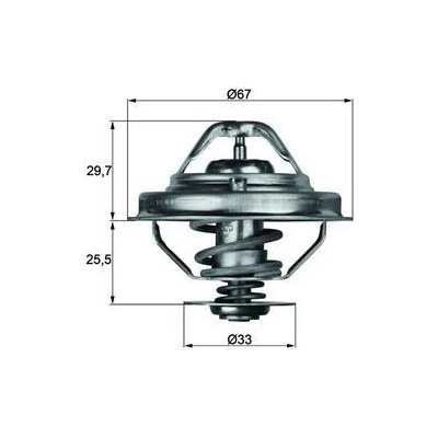 Termostat, chladivo MAHLE TX 38 80D