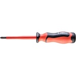 NEO TOOLS PH2x100 (04-167)