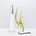 Issey Miyake L'Eau d'Issey Intense EDP 50 ml