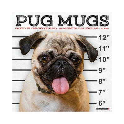 Pug Mugs 12 X 12 Wall 2026