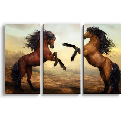 Sablio Obraz - 3-dílný Vzpínající se koně - 120x80 cm Varianta: Sablio Obraz - 3-dílný Vzpínající se koně - 120x80 cm