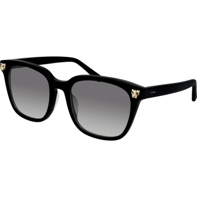 Cartier CT0143SA 001