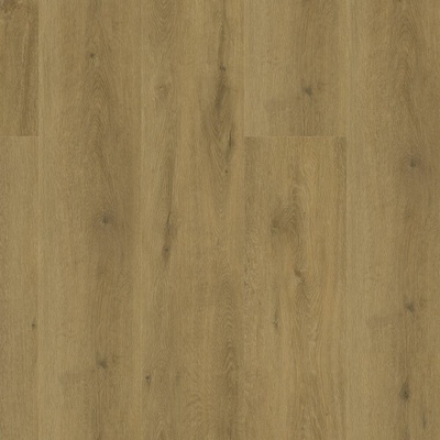 Floor Forever Authentic Oak Click 0,55 4010 Dub Pážecí 2,21 m²