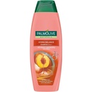 Palmolive Naturals 2in1 Hydra Balance šampón a kondicionér 2v1 350 ml