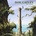 Bob Catley, THE TOWER, CD