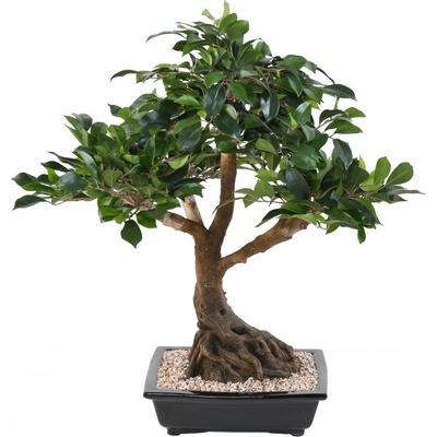Luxusní umělý strom FICUS BONSAI, 58cm