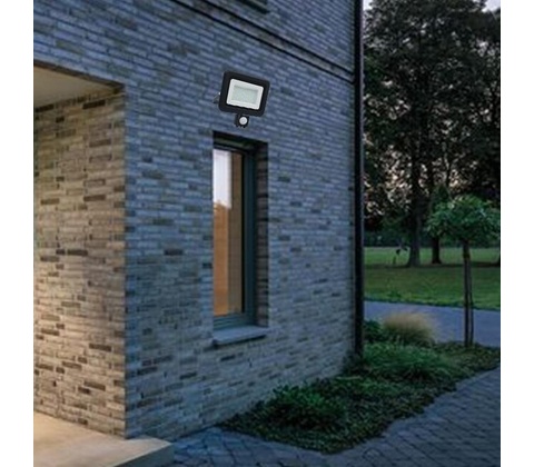 Nedes LF0024S