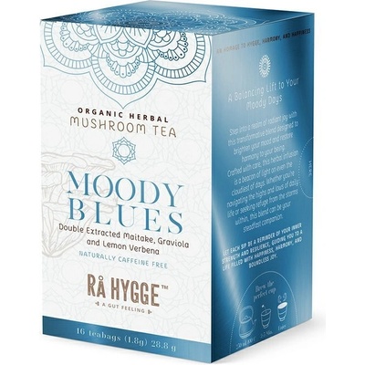 Ra Hygge BIO Moody Blues bylinný čaj s Maitake 16 ks