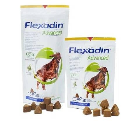 Flexadin Advanced pre psov 60 tbl.