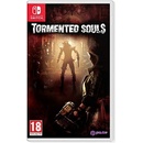 Tormented Souls