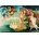 Bluebird Puzzle - Puzzle Botticelli - The birth of Venus, 1485 - 1 000 piese