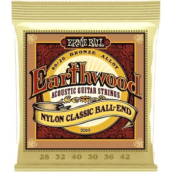 Ernie Ball 2069