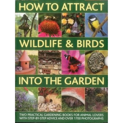 How to Attract Wildlife & Birds into the Garden