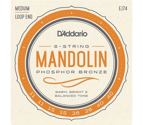 D'addario EJ74