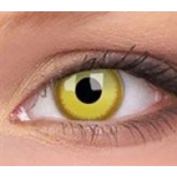 MAXVUE VISION Crazy avatar (10067)