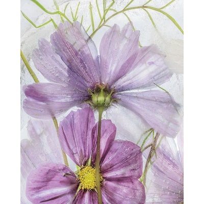 Fialové květy VI 1 deska 50x70