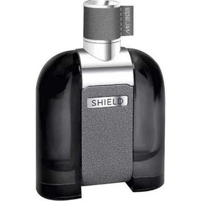 Mirada Shield parfumovaná voda pánska 100 ml