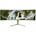 Arozzi NOVA 49TUW165 Forest Green