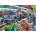 Falcon - Puzzle Car Factory - 1 000 piese