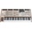 Arturia PolyBrute 12