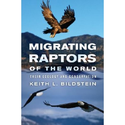Migrating Raptors of the World