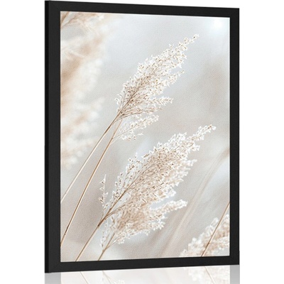 Plakát béžové třtiny - 40x60 no frame