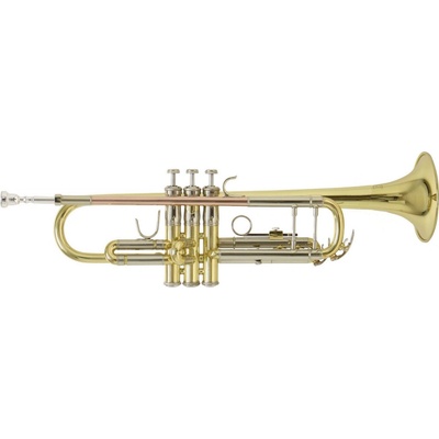 Bach Bb-trumpeta TR-501 – Zbozi.Blesk.cz