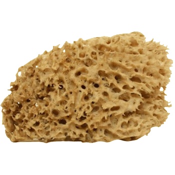 Cose della Natura Honeycomb - натурална гъба - Малък, 5-6 г