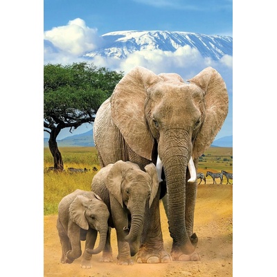 EUROGRAPHICS Save Our Planet Sloni XL 250 dielov