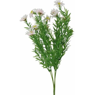 Divá margaréta X8170-05