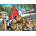 SunsOut - Puzzle Trujillo - Gathering in the Farmyard - 1 000 piese