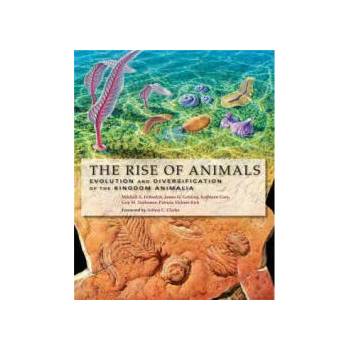 Image 1 of Rise of Animals | Mikhail A Fedonkin