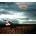Depeche Mode - A Broken Frame (2 CD) (0888837708920)