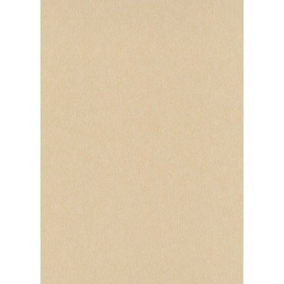 DIMEX ART Влизолинов тапет за стена wpe-901659