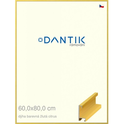 DANTIK rám na obraz 60 x 80 Dýha barevná žlutá citrus