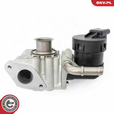 AGR - Ventil ESEN SKV 14SKV283