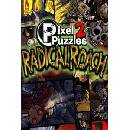 Pixel Puzzles 2: RADical ROACH