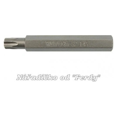 Bit 10 mm T25 x 75 mm torx