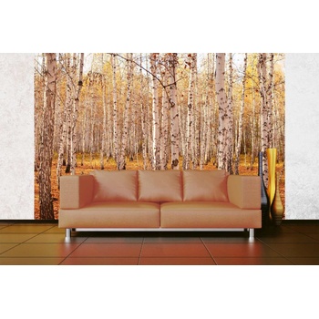 DIMEX ART s. r. o Самозалепваща се флизелинова фототапета брезова горичка ii. 375 x 250 см