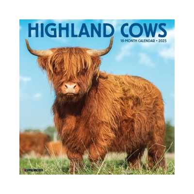Highland Cows 12 X 12 Wall 2026