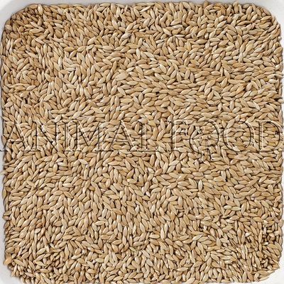 Deli Nature Lesknice 2 kg