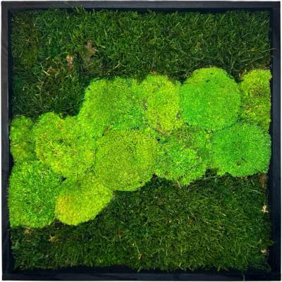 Mechový obraz Quad Velikost: 30x30cm